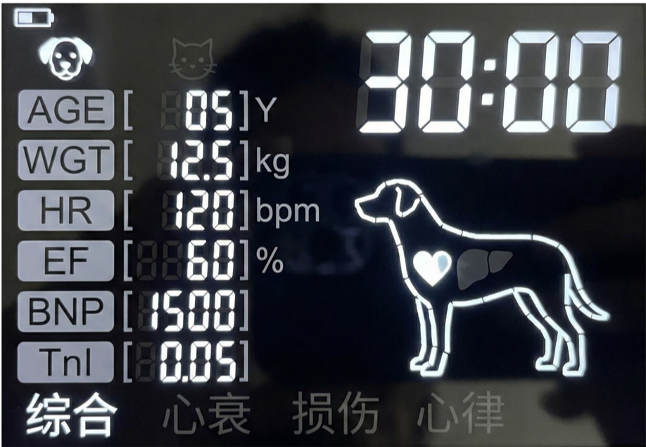 Concept A: Dashboard style with dog silhouette and all parameters visible