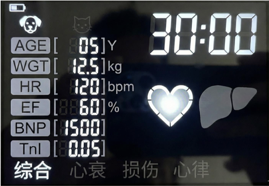 Concept B: Simplified dashboard with abstract organ icons